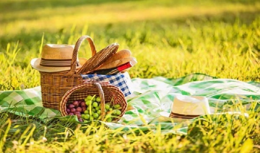 List For A Perfect Picnic