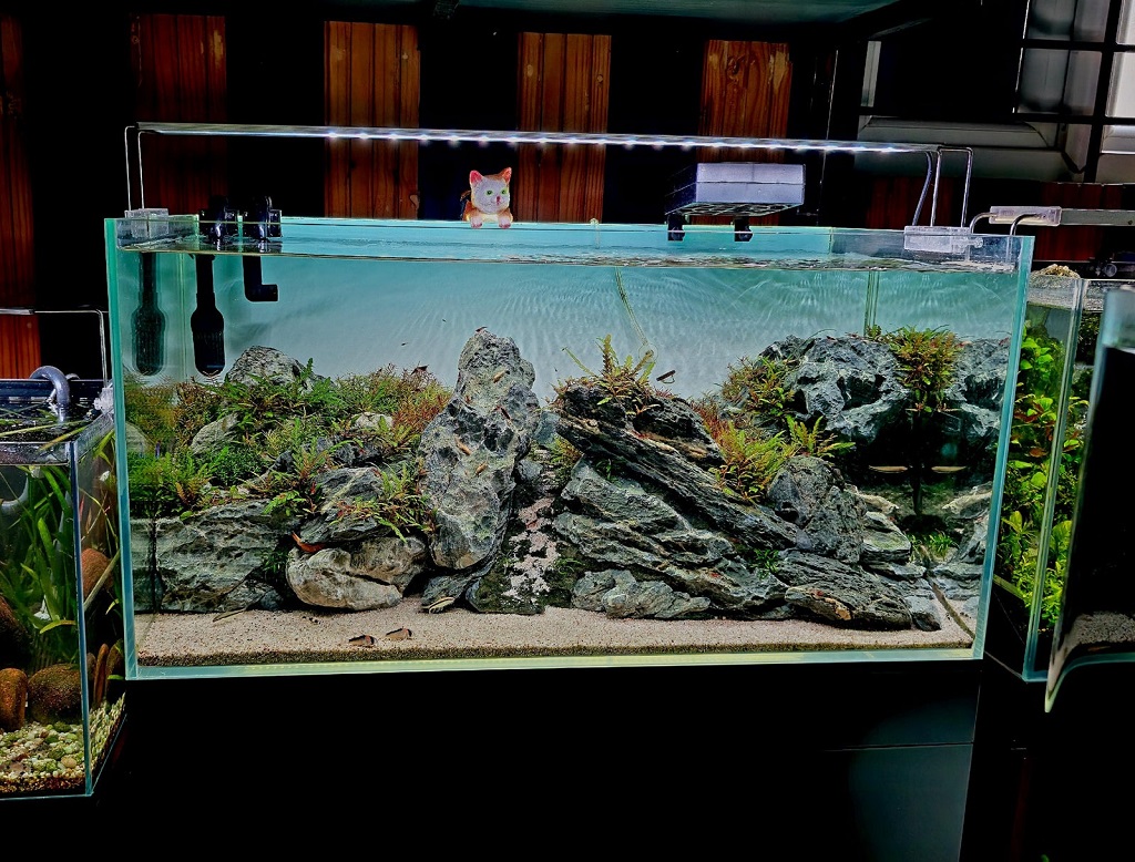 Can I use natural rocks and wood from outside