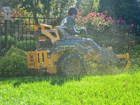 Lawn Care Services in Los Angeles: Your Ultimate Guide