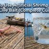artificial shrimp lure fishing technique in shallow water