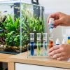 Vibrant tropical fish swimming in a clean aquarium with lush plants.