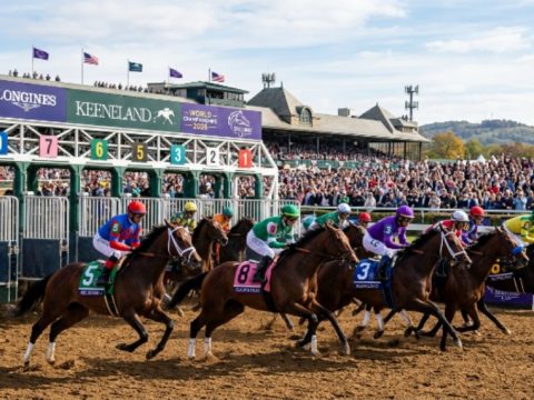 Thoroughbred racehorses breaking from the starting gate during a Grade 1 race at the Breeders' Cup 2026 World Championships at Keeneland Race Course in Lexington, Kentucky